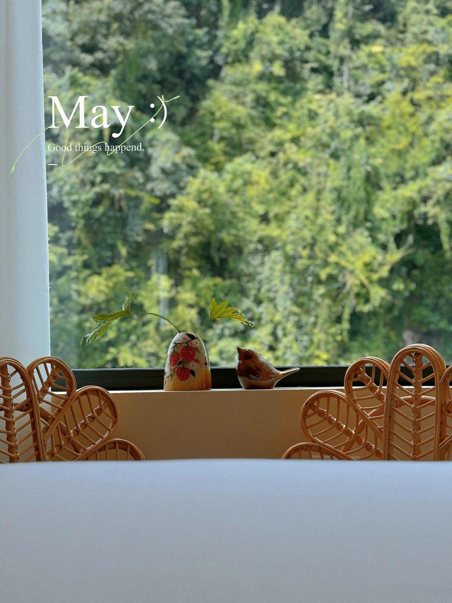 Truong Giang Boutique Hotel Lang Mon Exterior photo